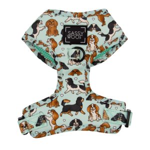 Arnés Ajustable SW - Classy Cavs