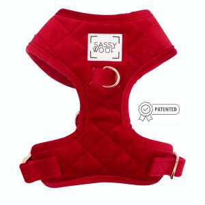Arnés Ajustable SW - Red Velvet