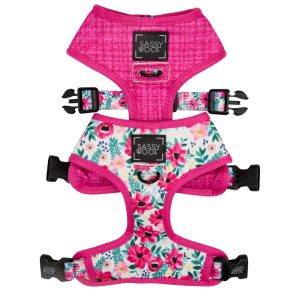 Arnés Reversible SW - Floral Frenzy