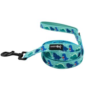 Correa SW - Dino Darling