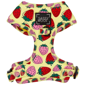 Arnés Ajustable SW - Strawberry Fields Furever