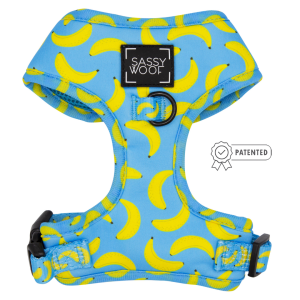 Arnés Ajustable SW - Peeling Sassy