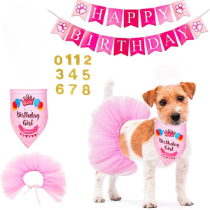 Kit Fiesta Cumpleaños (Fucsia) A Doggy Go
