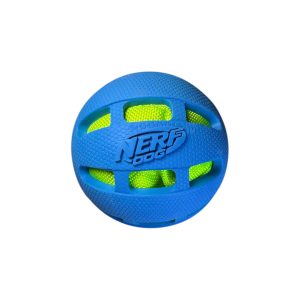 Nerf Pelota crujiente (perros medianos/grandes)